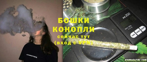 2c-b Ельня