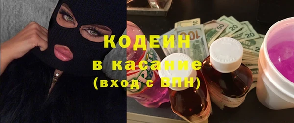 2c-b Ельня