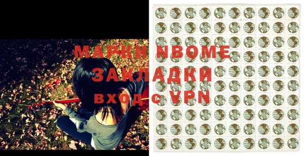 2c-b Ельня