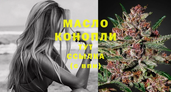 крисы Дмитров