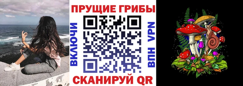 Псилоцибиновые грибы ЛСД  дарнет шоп  Пестово 